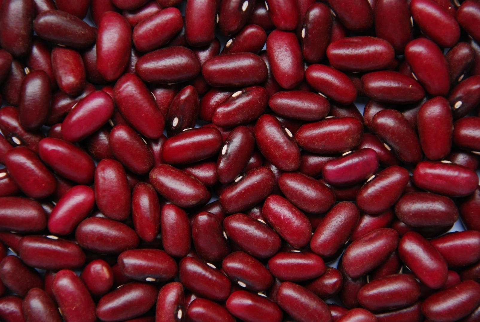 Dark Red Kidney Beans DRKB