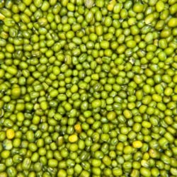 Green Mung Beans